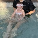 피그 패밀리 이미지