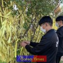 전남체육중학교 이미지