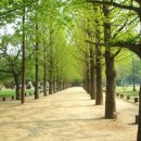 구름발치 이미지