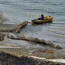 부평선착장 이미지