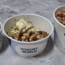 요거트월드신원당점 네이버블로그