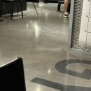동인동물병원 | 2025.04-1 | 아파뒤질뻔 했고 올해 첫 직관 다녀왔음 (feat.사랑한다 에엘지)