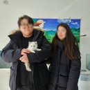 동두천-045 네이버블로그