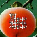 신앙과믿음 이미지