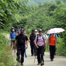 산수휴양림 자연의소리 이미지