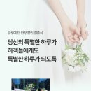 데이포토 이미지