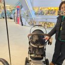 견생공감 | 강아지유모차 추천! 스타필드 개모차로 유명한 멀리 MW5 실사용 후기