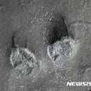진주 호탄동 익룡ㆍ새ㆍ공룡발자국 화석산지 이미지