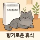 레이리터 | 💖😻 템덕후네 집, 냥님들 화장실 냄새? 이제 안녕! 😇 (feat. 리터락커 찐 후기)