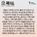 콩깍지 이미지