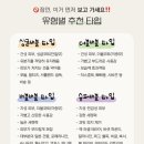 버블펫 이미지