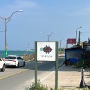 거북애견 | 양양 거북이서프바 애견동반카페 추천