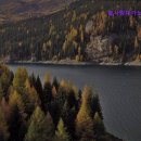 늘사랑재가노인복지센터 이미지