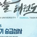 용인대호반태권도 이미지