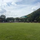 뿌리공원 | [대전] 효뿌리축제, 데이트 장소, 가족 나들이, 피크닉 추천 “뿌리공원”갔다 온 후기