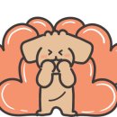 남해예가 이미지