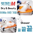 M샤워 이미지