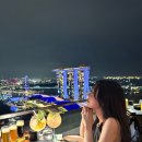 레벨(LEVEL) | 싱가포르 맛집 | 싱가포르 레벨 33(Level33) 레스토랑 코스요리 후기