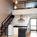 오션트리 이미지