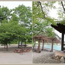 금풀애마을 이미지