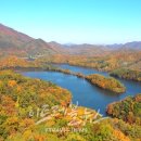 옥천 이트레블뉴스