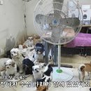 엔젤모텔 이미지