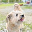 루다네 까까 이미지