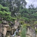 풍성손메밀묵집 | [블챌 3주차] 내가 사랑하는 대구 수목원, 가을초입 산책 + 풍성 손메밀묵집 메밀곡물칼국수