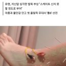 커리어가 달라졌을 수도 있는 유영선수 이미지