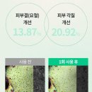스팟