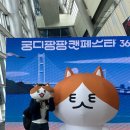 러쉬캣 | 2026 부산 궁디팡팡 캣페스타 후기 ! 🐈🐈‍⬛ + 강아지, 고양이 사진 있음