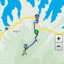 게으른 악어 이미지