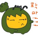 스마트애견 이미지