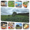 정성산업환경(주) | 창원시 농촌 활성화 지원센터, 창원농촌Farm-Up's투어 참여후기