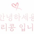 살롱드 451