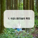 미소더예쁨치과의원 이미지