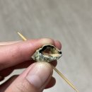 래아수산 이미지