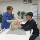 하수의과병원 이미지