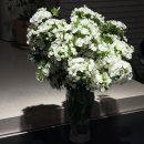 헤어박스 | 7 - 퍼스트웨딩 / 리브 스튜디오 패키지 촬영후기 / 부케랜덤박스 / 팔렛필즈 메이크업 헤어변형 후기