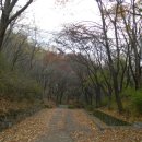 홍록배드민턴장 이미지