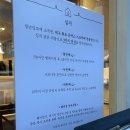 심지 | 대구 동대구역맛집 심지카츠웨이팅 후기ㅣ25분 기다리고 입장 성공!