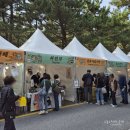 2025 강릉커피축제 : 행사 정보 및 첫째날 방문 후기