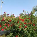 선바위농장 이미지