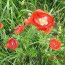 성요셉병원 이미지