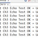 [ARM 실습 50] UART3 to UART2 TX(TTL 레벨 전송, Echo 루프백 Test) 이미지