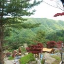 산야초오토캠핑장 이미지
