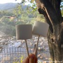 소란캠프 야영장 | 힐링캠프 | 울산 울주군 계곡 근처 오토 캠핑장, 야영장 솔직 후기