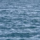 올레 비치 | 사이판에서 생긴 일 2 : 마나가하 섬 호핑투어 후기, 올레 아이 비치 바 &amp; 그릴