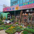 남밀양농협 하나로마트 이미지