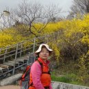 개나리공원3 이미지